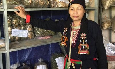 “Nữ y núi Tản” công bố thảo dược xương khớp hợp với thể trạng người Việt