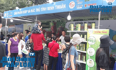 Media - Du lịch Ninh Thuận 