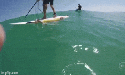 Video: Bị bạch tuộc tấn công bất ngờ, người đàn ông nhanh chóng nhảy khỏi tấm ván 