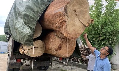 Vụ xe chở hơn 20m3 gỗ bị tạm giữ: Ông chủ doanh nghiệp tiết lộ chi tiết bất thường