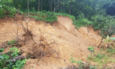 Ninh Bình: Mưa lớn gây sạt lở đất ở đồi Vó Nước, người dân di dời khẩn cấp
