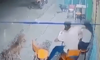 Video: Chàng trai tát bạn gái giữa quán cafe, nhận ngay 