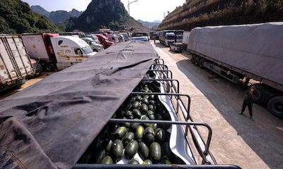Thị trường - Hàng nghìn xe container ùn tắc, Lạng Sơn đề nghị tạm dừng đưa nông sản lên cửa khẩu