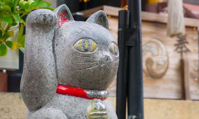 Người Nhật Bản yêu mèo như thế nào? 