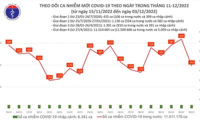 Tin trong nước - Bản tin COVID-19 ngày 3/12: Thêm 393 ca mắc mới, 1 bệnh nhân tử vong 