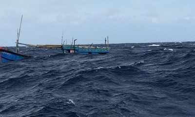 Bình Thuận: Khẩn trương tìm kiếm ngư dân mất tích do chìm tàu 