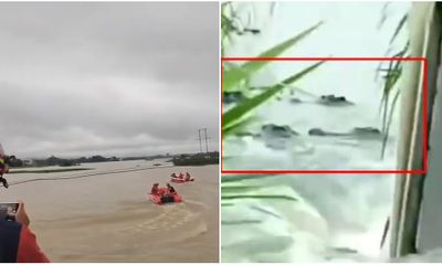 Trung Quốc: Mưa lũ ngập lụt lớn, cá sấu sổng chuồng hàng loạt khiến người dân kinh hãi