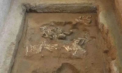 Cỗ xe cừu 2.000 năm được tìm thấy trong lăng mộ Tần Thủy Hoàng