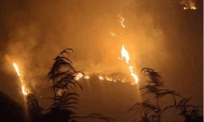 Tin trong nước - Hàng trăm người xuyên đêm kiểm soát đám cháy rừng ở Mù Cang Chải