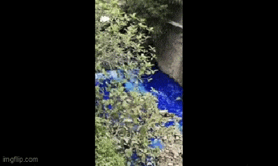 Dòng sông kỳ lạ bất ngờ chuyển sang màu xanh 