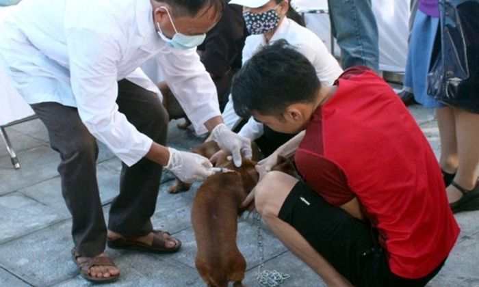 Sức khoẻ - Làm đẹp - Vụ tử vong sau khi mổ chó ở Hà Nội: Thêm nhiều người phải theo dõi sức khỏe
